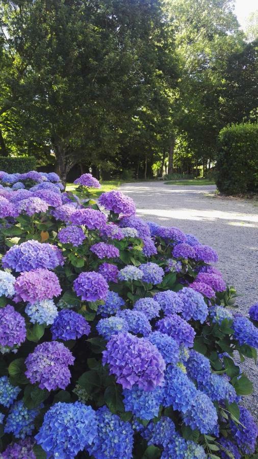 مبيت وإفطار Saint-Viaud Domaine Du Plessis Grimaud المظهر الخارجي الصورة